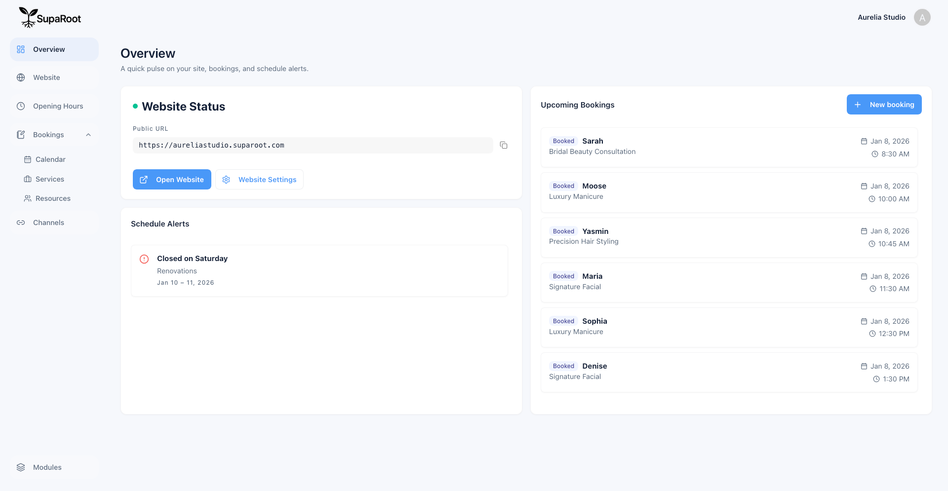 SupaRoot website and booking system preview
